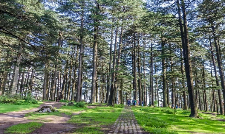 places to visit in leh ladakh